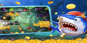 Chương trình thưởng phong phú