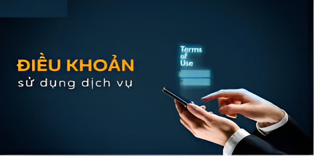 Thông tin về điều khoản sử dụng 333win